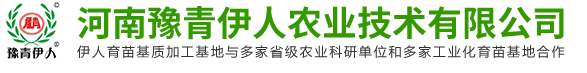 東安控股集團有限公司
